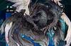 Noticia Primeras imgenes y vdeos de Terra Battle