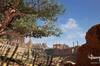 Noticia Downward propone llevar el parkour a un mundo desolado