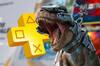 Noticia Anunciados los juegos de mayo de PS Plus Essential para PS5 y PS4, incluyendo el premiado Balatro