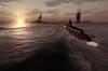 Noticia Imágenes de Silent Hunter 4