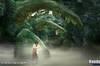 Noticia Imágenes de King Kong para PSP