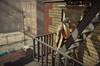 Noticia Blacksad: Under the Skin se muestra en un nuevo tráiler