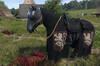 Noticia Cmo conseguir el caballo fantasma secreto en Kingdom Come Deliverance 2?