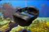 Noticia Subnautica 2 ser� compatible con la realidad virtual gracias a un mod no oficial que ya est� en desarrollo