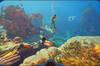 Noticia Subnautica 2, el m�s deseado de Steam y entre los que m�s seguidores ha ganado los �ltimos 7 d�as