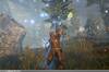Noticia El MMO Dark and Light llega en forma de reboot este oto�o a Steam
