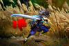 Noticia Oficial: la edición física europea de Muramasa para Switch 2 tendrá una gran desventaja respecto a la americana