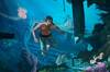 Noticia Artesan�a frente a IA: el director de sonido de AC Black Flag Resynced la defiende como una 'herramienta' m�s