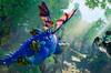 Noticia Se filtra el mapa de Rayman Legends Retold y los fans est�n entusiasmados por su tama�o