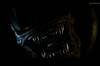 Noticia El terror de Alien Isolation 2 se muestra en su primer tráiler durante el Summer Game Fest 2026