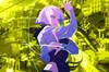 Noticia Una inesperada colaboracin entre Cyberpunk y Guilty Gear: Lucy llega a Strive como luchadora invitada