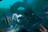 Noticia Tras el retraso de Subnautica 2, los desarrolladores todava podrn recibir una bonificacin de 25 millones
