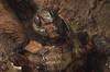 Noticia La expansi�n de Doom: The Dark Ages durar� entre 10 y 12 horas y tendr� mucho endgame