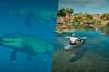 Noticia Disfruta de Jurassic World Evolution 3 con Cretaceous Cruise, la atraccin en kayak que se muestra en triler