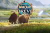 Noticia World of Warcraft: Forever es mucho más que un Classic+: así reinventa Blizzard el WoW original