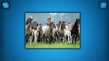 Imagen 4 de PUZZLE: ANIMALS