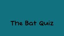 Imagen 5 de The Bat Quiz