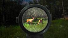 Imagen 5 de Hunter Simulator : Wild Hunting