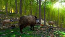 Imagen 7 de Hunter Simulator : Wild Hunting