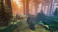 Imagen 11 de Valheim