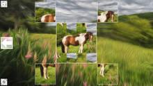 Imagen 3 de Puzzle Art: Horses