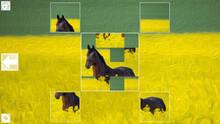 Imagen 5 de Puzzle Art: Horses