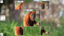 Imagen 2 de Puzzle Art: Primates