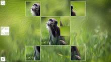 Imagen 4 de Puzzle Art: Primates