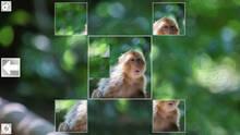 Imagen 5 de Puzzle Art: Primates