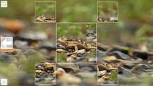 Imagen 5 de Puzzle Art: Reptiles
