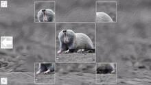 Imagen 3 de Puzzle Art: Rodents