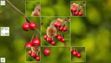 Imagen 4 de Puzzle Art: Rodents
