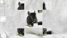 Imagen 5 de Puzzle Art: Rodents