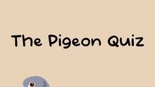 Imagen 4 de The Pigeon Quiz