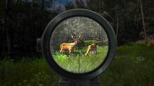 Imagen 5 de Wild Hunter: Sniper Rifle Adventures Simulator