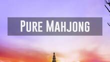 Imagen 2 de Pure Mahjong