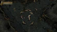 Imagen 27 de Baldur's Gate: Dark Alliance
