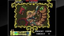 Imagen 15 de Arcade Archives THE ASTYANAX
