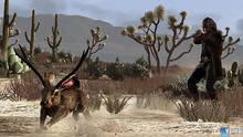 Imagen 347 de Red Dead Redemption