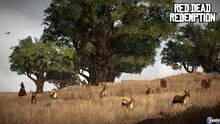 Imagen 250 de Red Dead Redemption
