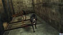 Imagen 78 de Resident Evil: The Darkside Chronicles