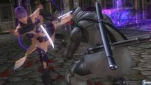 Imagen 13 de Ninja Gaiden Sigma 2