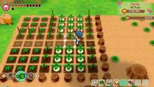 Imagen 84 de Story of Seasons: Friends of Mineral Town