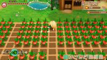 Imagen 90 de Story of Seasons: Friends of Mineral Town