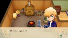 Imagen 93 de Story of Seasons: Friends of Mineral Town