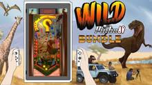 Imagen 8 de Wild Pinball Bundle