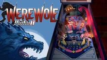 Imagen 7 de Wild & Horror Pinball