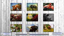 Imagen 5 de Puzzle XXL: Animales Increbles