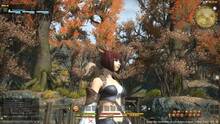 Imagen 474 de Final Fantasy XIV: A Realm Reborn