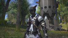Imagen 522 de Final Fantasy XIV: A Realm Reborn
